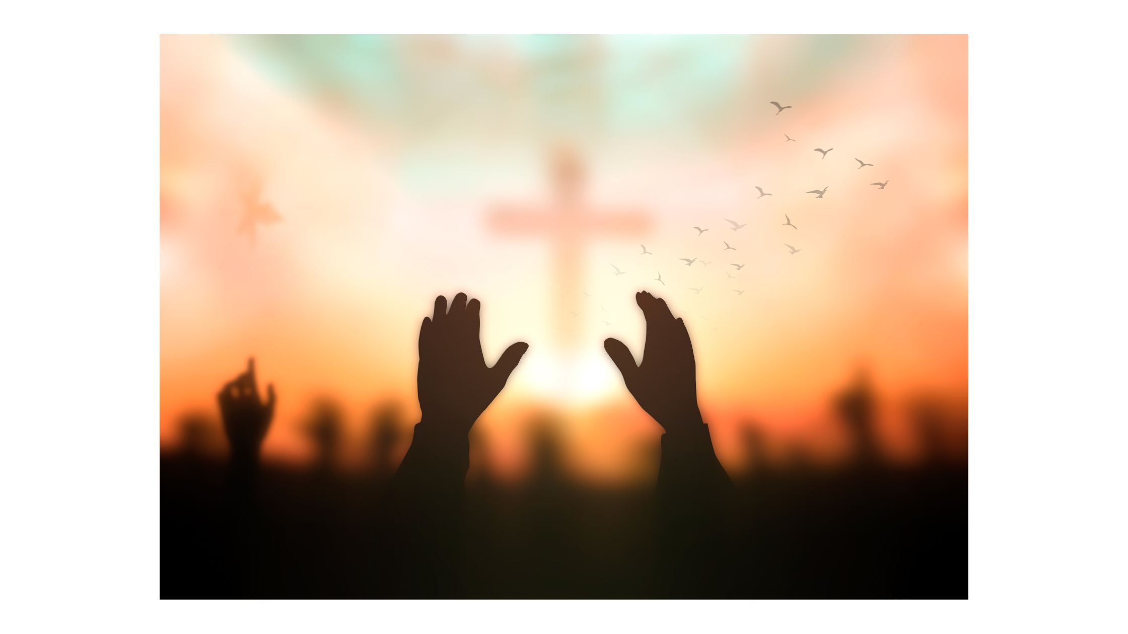 God’s Timing vs. My Timeline: Aligning Ambition with Divine Purpose ...